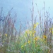 Weeds & Wildflowers by lynnz