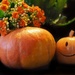 Pumpkin by jacqbb