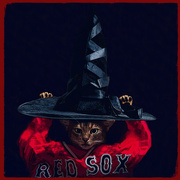 23rd Oct 2018 - Rah, Rah, Red Sox!!