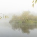 Simply a foggy view by helenhall