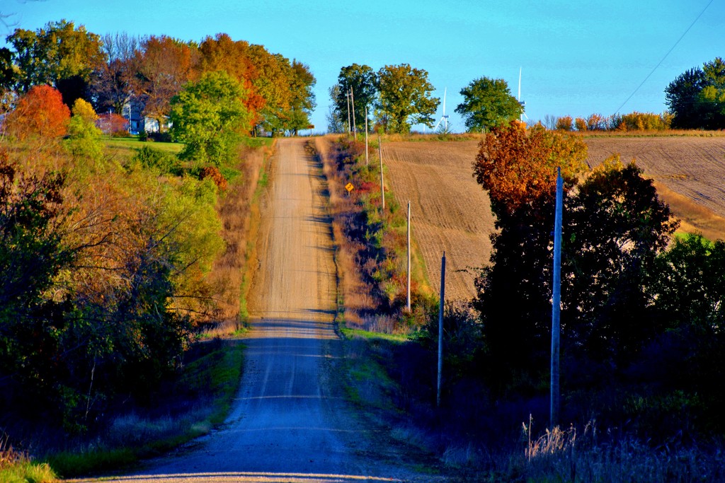 Country Road by lynnz