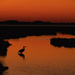 Heron at Assateague  by shesnapped