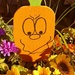 Pumpkin Smirk by jo38