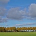 autumn trees by gijsje