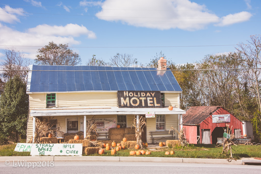 Holiday Motel  by lesip