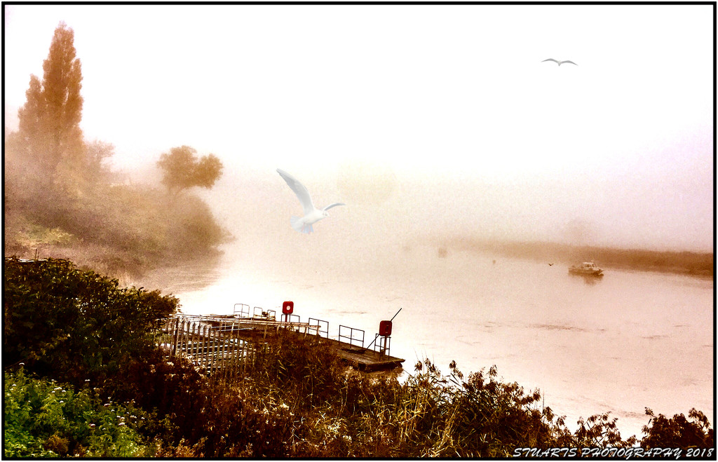 Mist across the water by stuart46