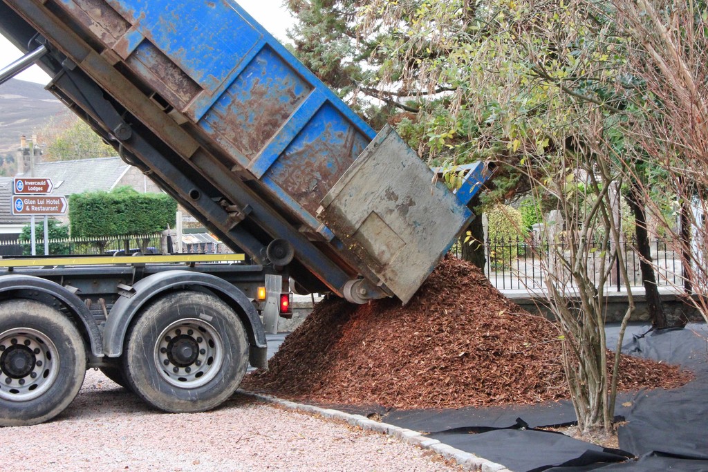 The mulch is in! by jamibann