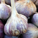 Garlic in Large by gq