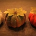 Pumpkins all in a row by mittens
