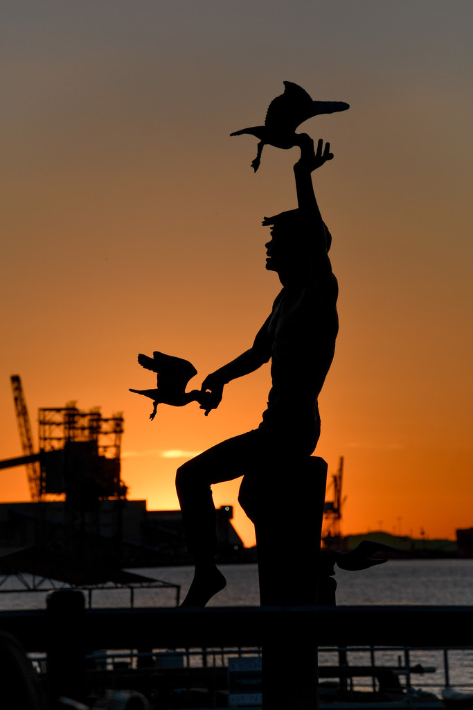 Boy with seagulls by danette