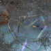 Bubbles by graceratliff