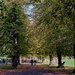 Parklife : Vernon Park Basford by phil_howcroft