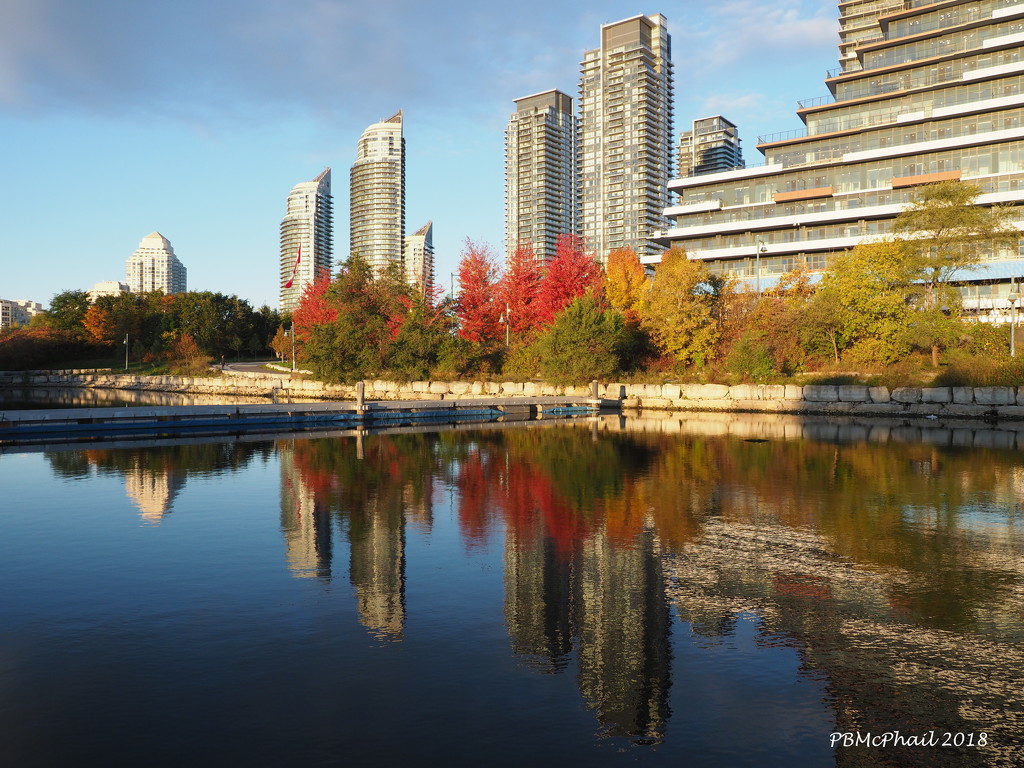 Autumn in Toronto by selkie