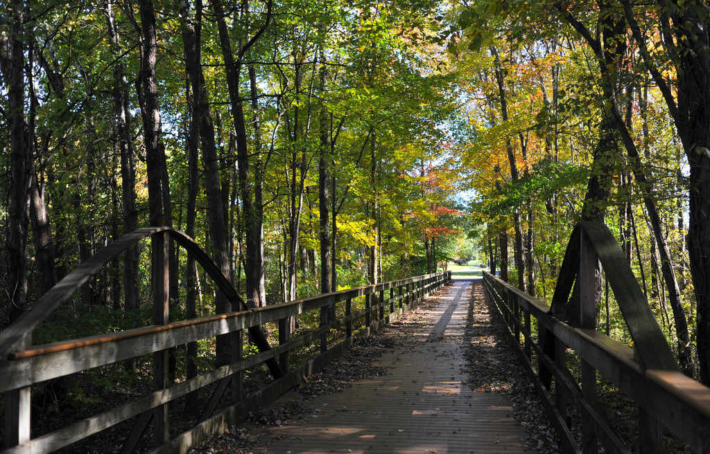 Bridge in Fall  by loweygrace