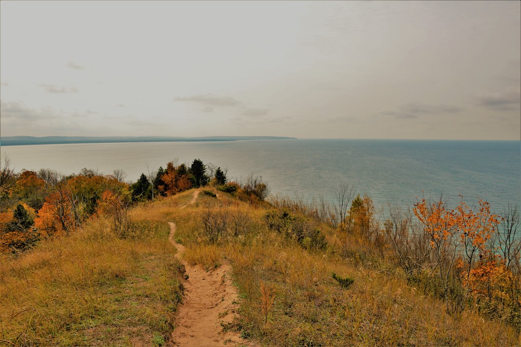 trail by edorreandresen