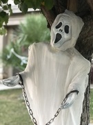 26th Oct 2018 - Ghost