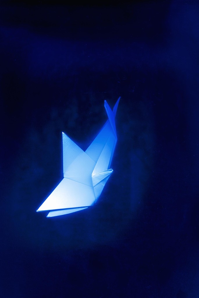 Origami#2 by domenicododaro