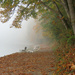Foggy Trail by seattlite