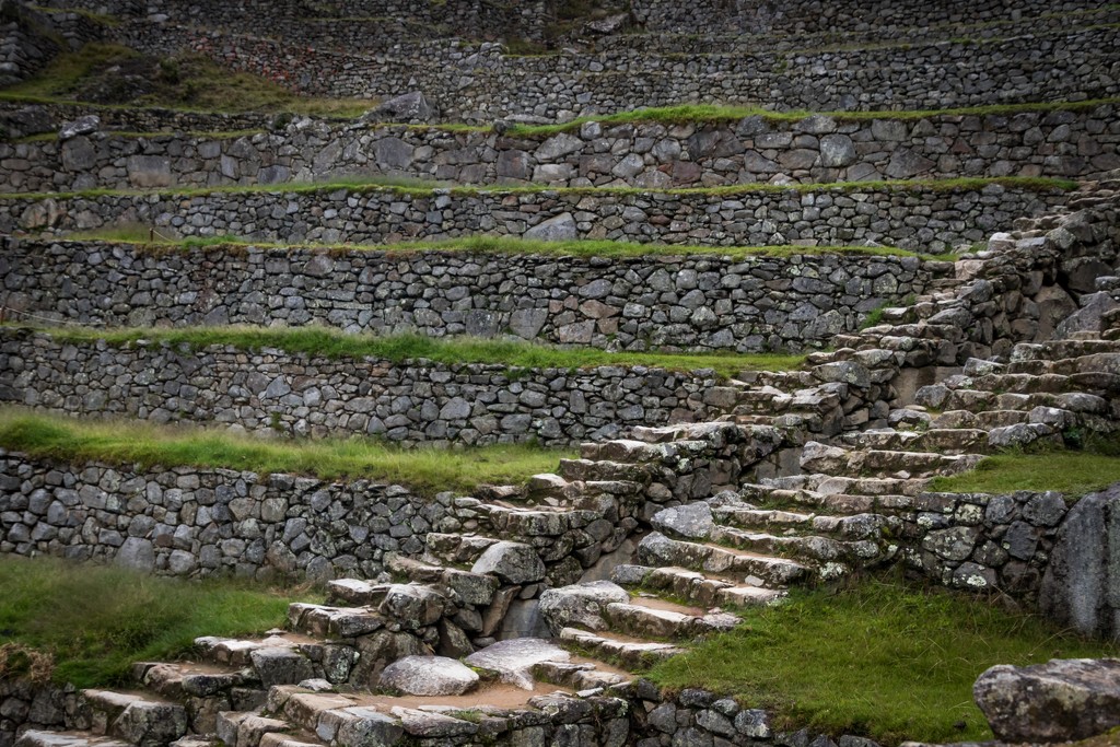 Machu Picchu -- Terraces and (Cloned out roped off areas) by darylo