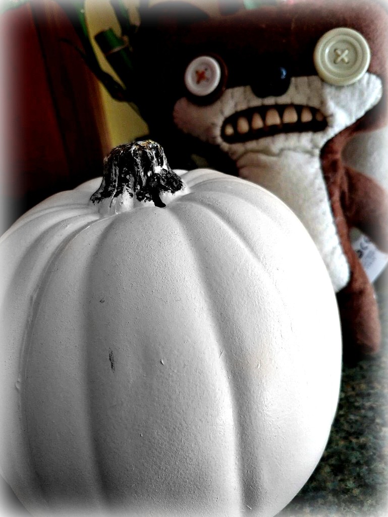 Confusion Over A White Pumpkin  by jo38