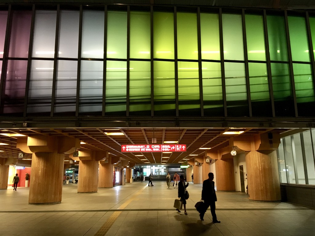 Nara train station by vincent24