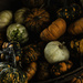 Pumpkins by farmreporter