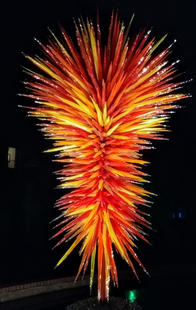 Chihuly by harbie
