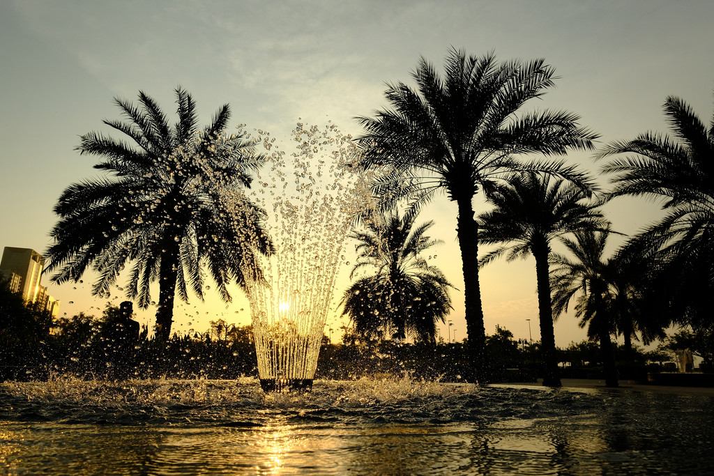 Lake park, Abu Dhabi by stefanotrezzi