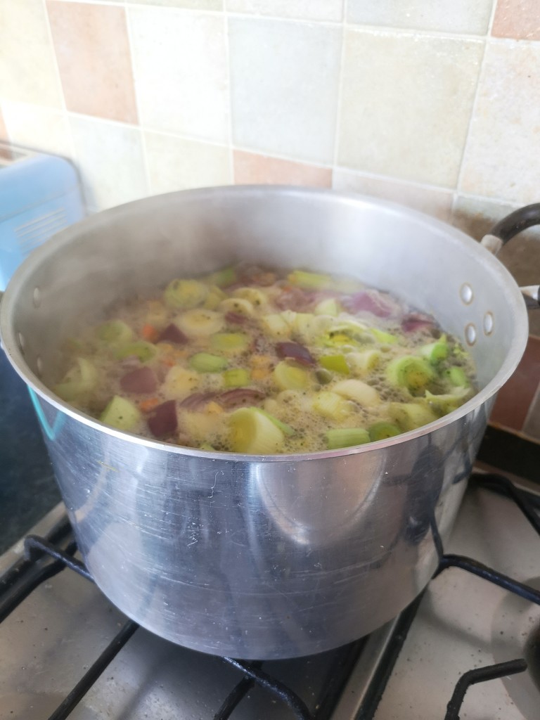 Homemade vegetable soup. by plainjaneandnononsense