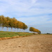 Autumn trees on a slapers (old) dike by pyrrhula