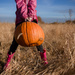 Big Pumpkin, Little Girl by tina_mac