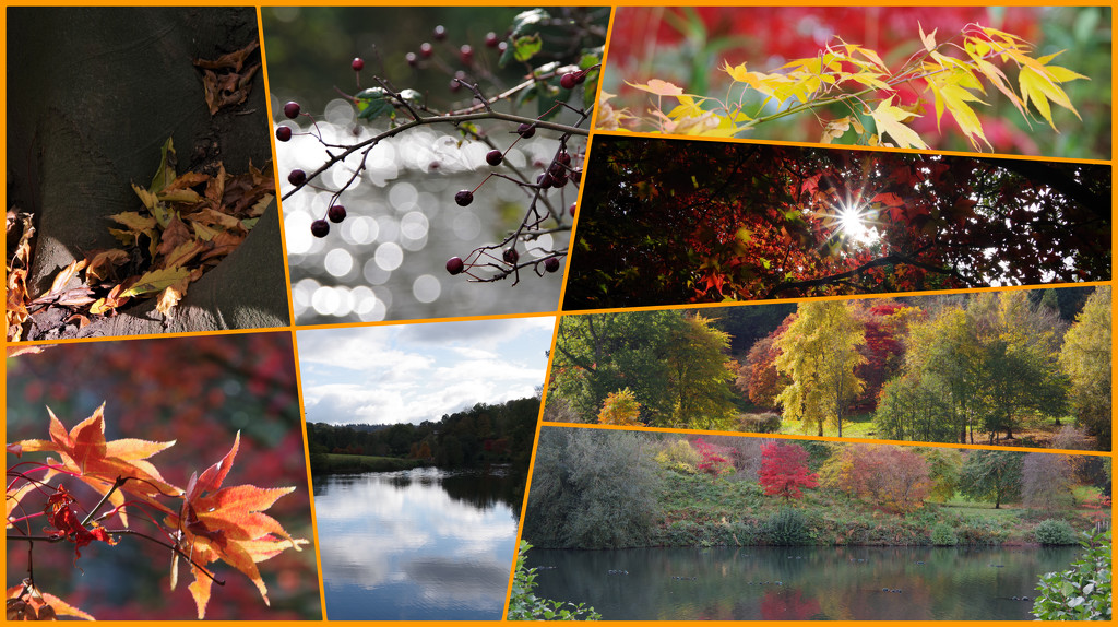Autumn Collage by 30pics4jackiesdiamond