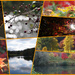 Autumn Collage by 30pics4jackiesdiamond