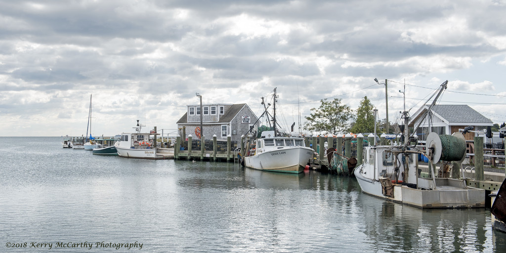Cloudy day at the docks by mccarth1