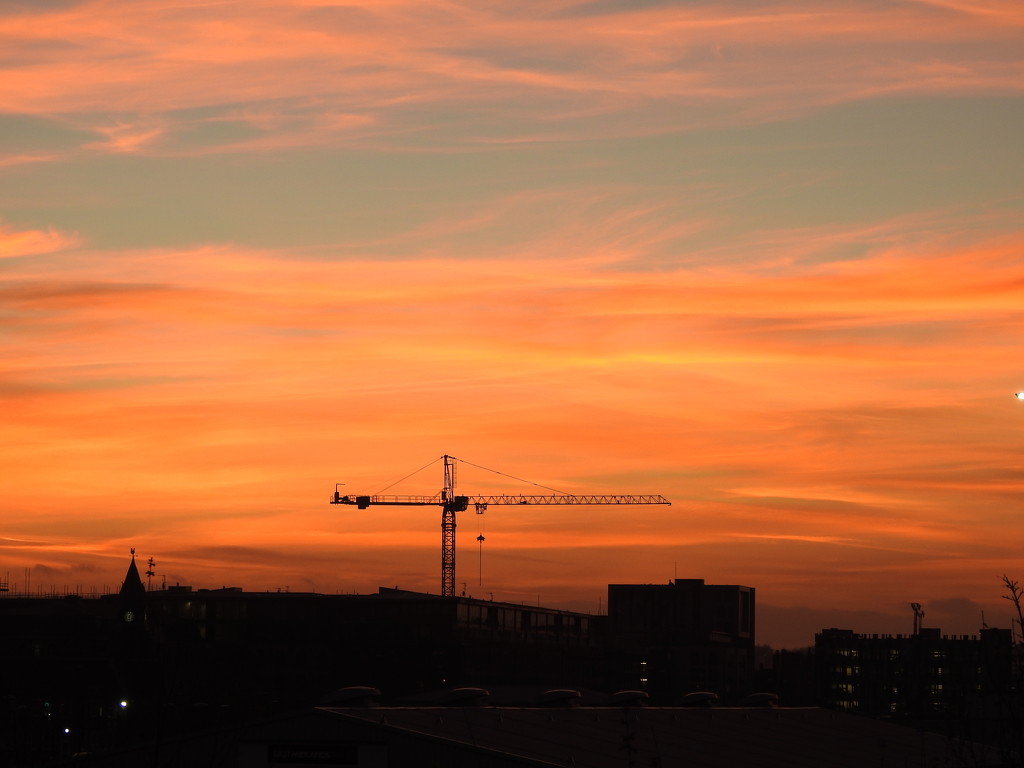 Crane and Sunset by oldjosh