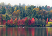 29th Oct 2018 - Fall's Splendor at Green Lake 2018