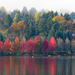 Fall's Splendor at Green Lake 2018 by seattlite