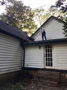 24th Oct 2018 - Roof tending