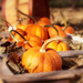 pumpkins by aecasey