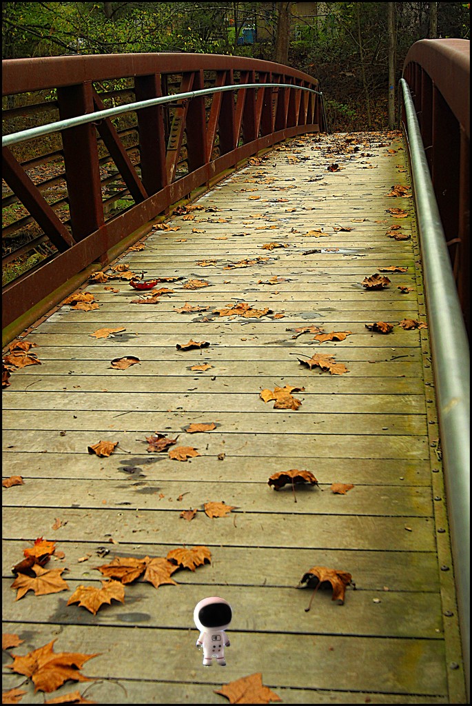 October Words- Bridge by olivetreeann