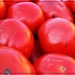 Red Tomatoes by olivetreeann