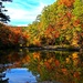 Fall Color Has Arrived by milaniet