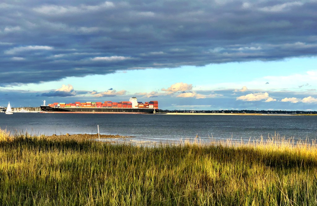 Container cargo ship entering Charleston Harbor. by congaree