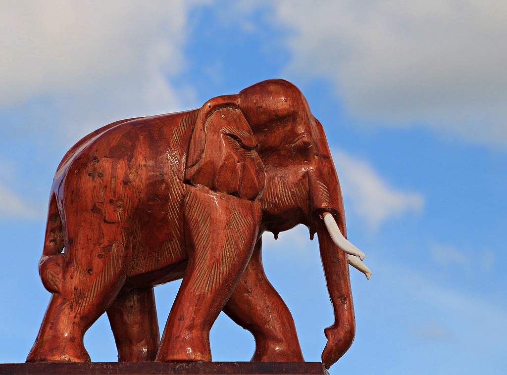 Elephant in the sky by kiwinanna