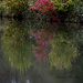 autumn's reflection by parisouailleurs