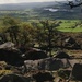 Back at the Roaches by roachling