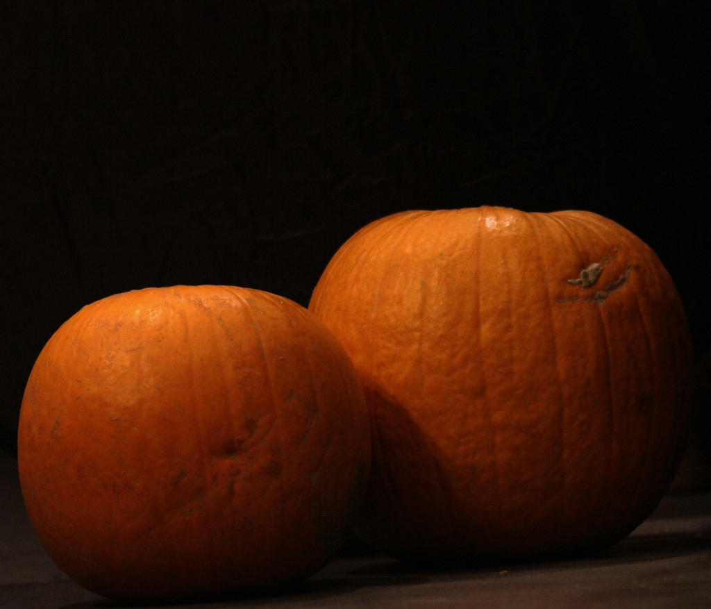 Pumpkins by bagpuss