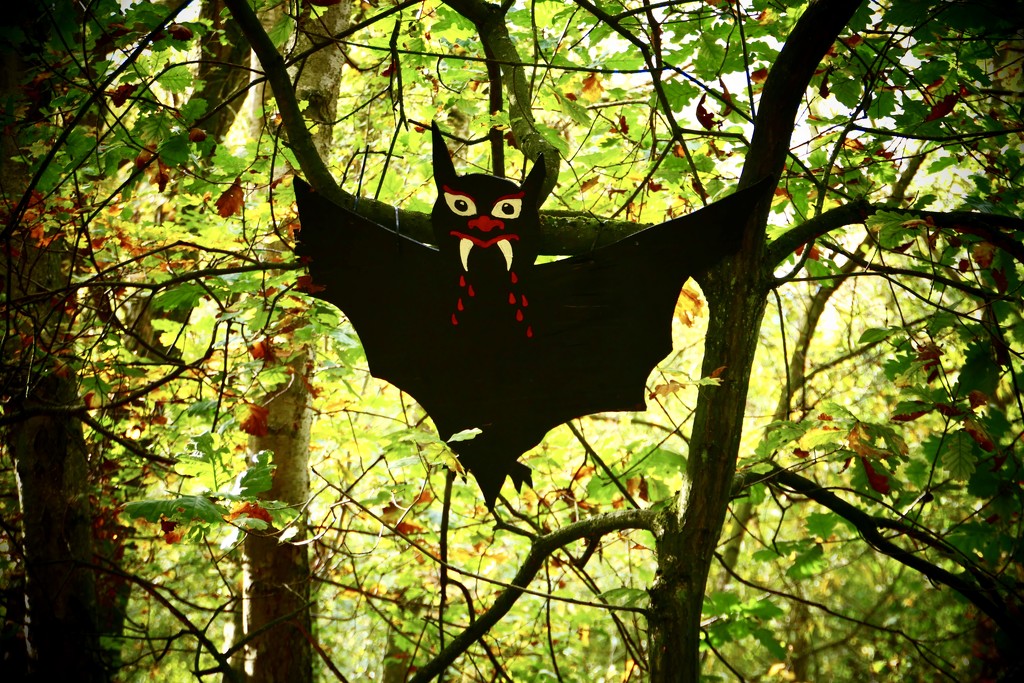 Tree Bats by carole_sandford