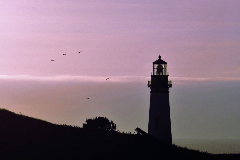 Lighthouse, Oregon Coast by granagringa