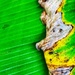 Banana leaf by joemuli